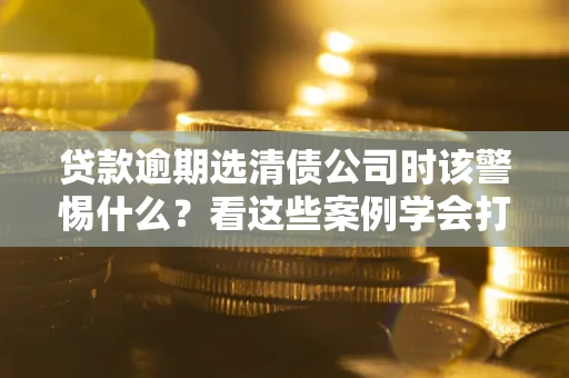 武汉贷款逾期选清债公司时该警惕什么？看这些案例学会打翻身仗