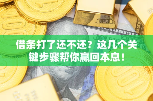 武汉借条打了还不还？这几个关键步骤帮你赢回本息！