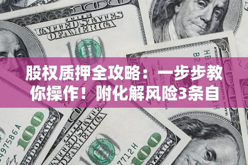 武汉股权质押全攻略：一步步教你操作！附化解风险3条自救法则