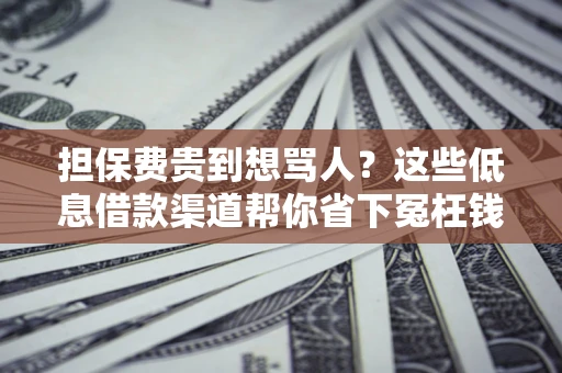 武汉担保费贵到想骂人？这些低息借款渠道帮你省下冤枉钱