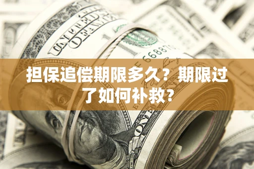 武汉担保追偿期限多久？期限过了如何补救？