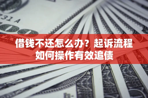 武汉借钱不还怎么办？起诉流程如何操作有效追债