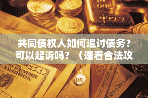 武汉共同债权人如何追讨债务？可以起诉吗？（速看合法攻略）