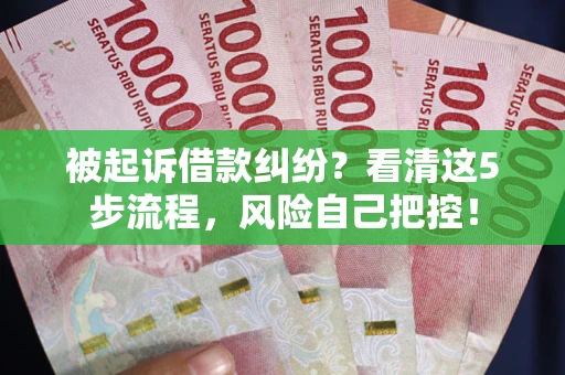 武汉被起诉借款纠纷？看清这5步流程，风险自己把控！