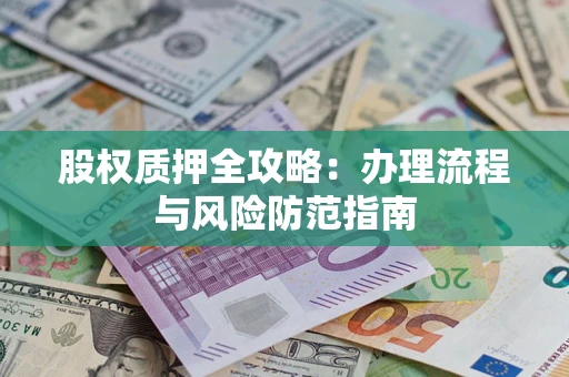 武汉股权质押全攻略：办理流程与风险防范指南