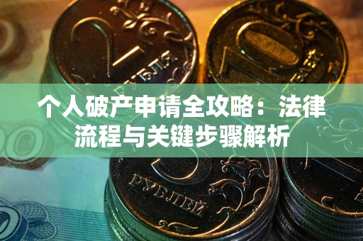 武汉个人破产申请全攻略：法律流程与关键步骤解析